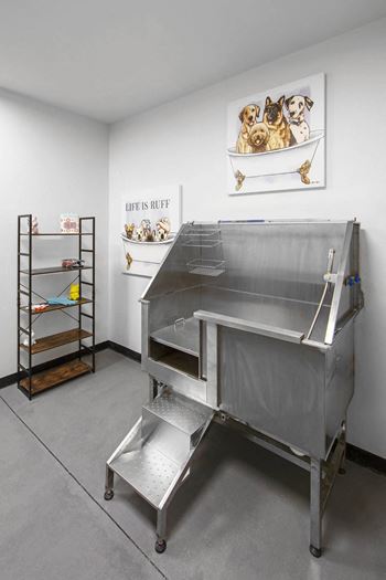 Dog spa
